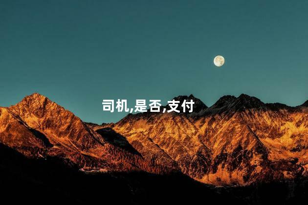 司机,是否,支付