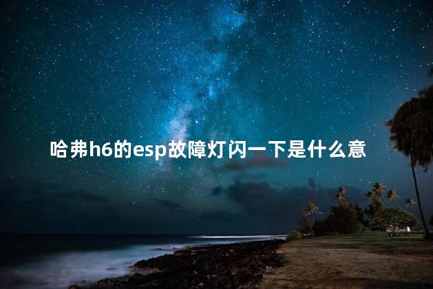 哈弗h6的esp故障灯闪一下是什么意思