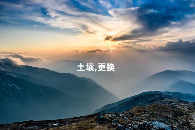 土壤,更换