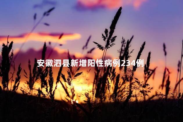 安徽泗县新增阳性病例234例