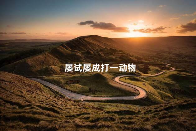 屡试屡成打一动物 屡试不爽形容什么