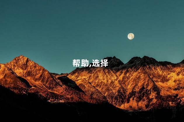 帮助,选择