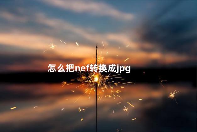 怎么把nef转换成jpg nef格式和jpg格式有什么区别