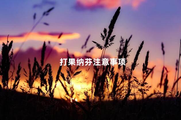 打果纳芬注意事项