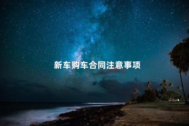 新车购车合同注意事项