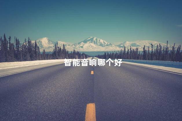 智能音响哪个好