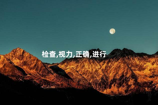 检查,视力,正确,进行