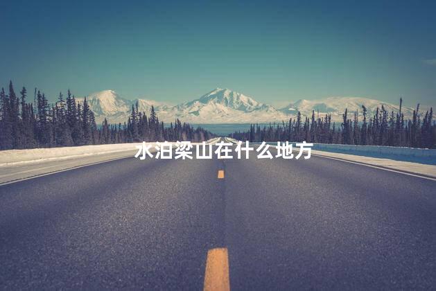 水泊梁山在什么地方 水泊梁山真的有八百里水泊吗