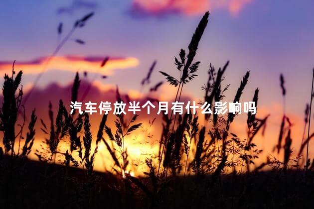 汽车停放半个月有什么影响吗