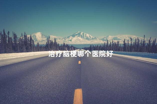 治疗脑梗哪个医院好