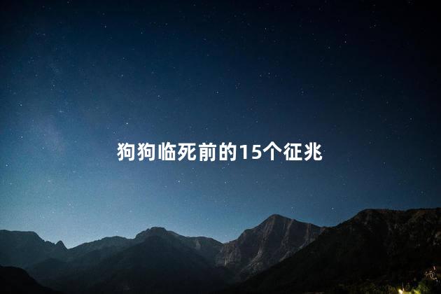 狗狗临死前的15个征兆 给狗狗正确的下葬方法