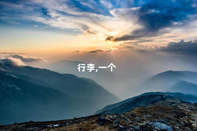 行李,一个