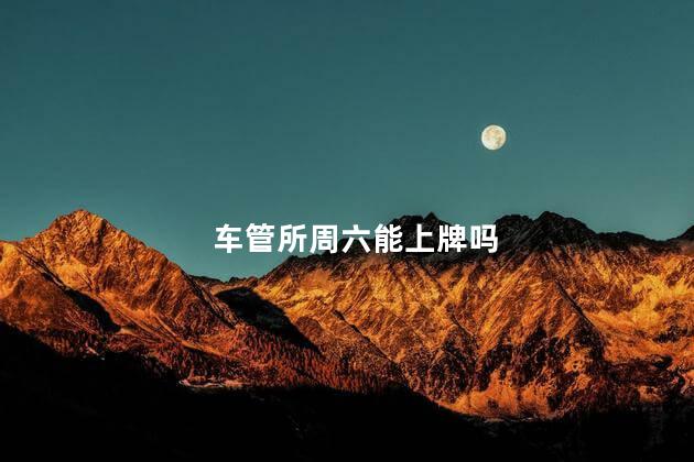 车管所周六能上牌吗