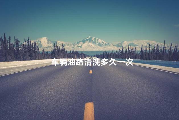 车辆油路清洗多久一次 油路堵塞有什么症状