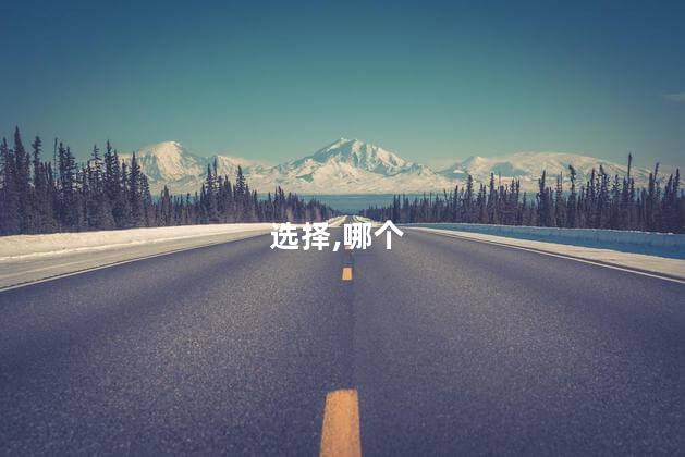 选择,哪个