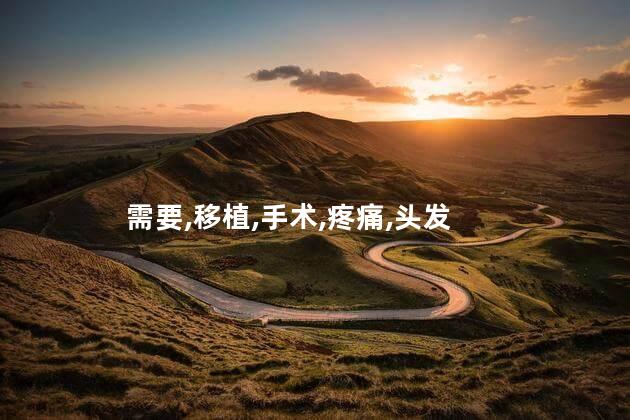 需要,移植,手术,疼痛,头发