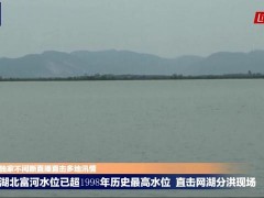 多个水文站破1998年历史极值！当年发生了什么？洪水来时应该怎么做？