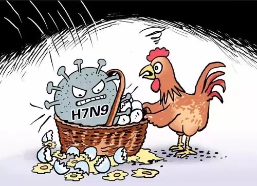 什么是h7n9禽流感？h7n9禽流感如何预防