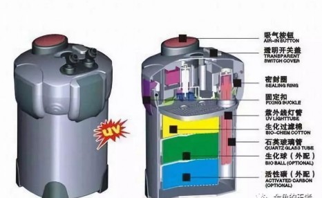 缸养金鱼该如何选择自己需要的过滤系统？（金鱼的王者）