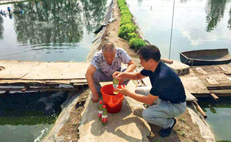 南美白对虾淡水零排放池塘生态高效养殖技术