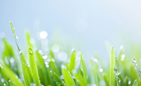 谷雨是什么时候，谷雨的气候特点有哪些