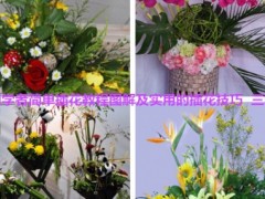 初学者应该如何学插花:教程图解及实用的插花技巧