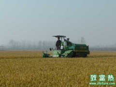 农业供给侧改革升温,米大豆价格排前