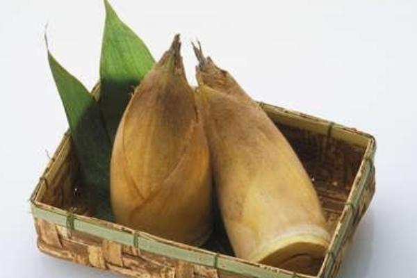 竹笋价格多少钱一斤