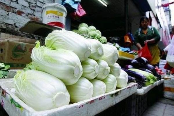 大白菜价格多少钱一斤