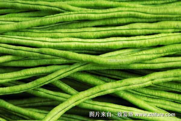 2018种豇豆赚钱吗？豇豆种植的利润与投资成本及前景预测