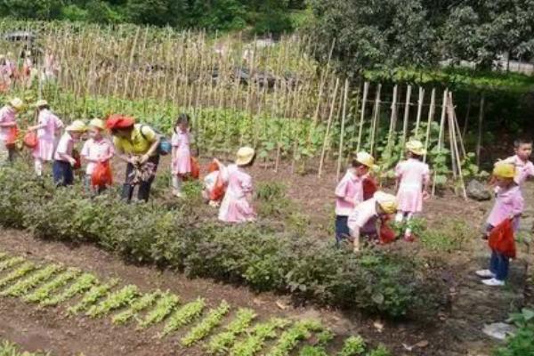 休闲农业与乡村旅游的规划设计 休闲农业游戏规划方案