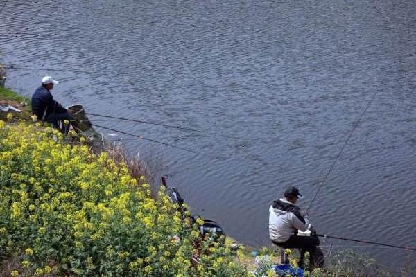 春季钓鱼技巧（南方、北方） 春天钓鱼用什么饵