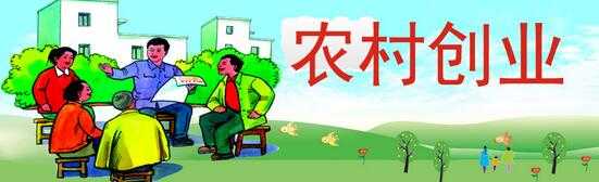 回乡创业做什么好？农村致富新点子告诉你