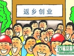 十个农村创业项目带你致富