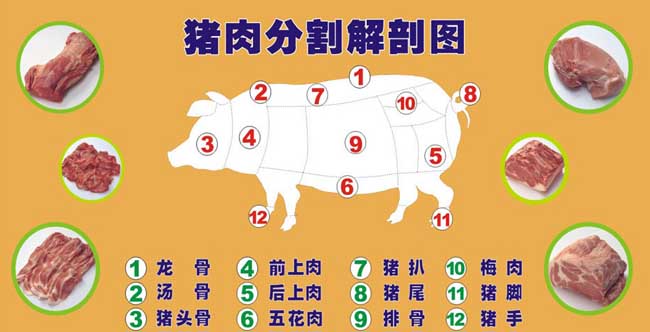 猪肉分割解剖图