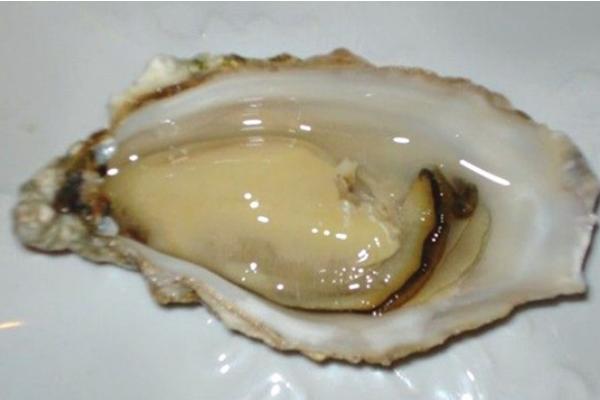 男人吃牡蛎的功效与作用 牡蛎能补肾吗