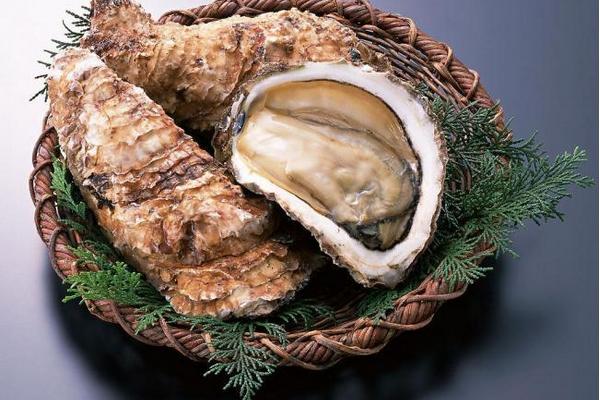 男人吃牡蛎的功效与作用 牡蛎能补肾吗