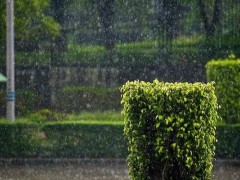 梦见被大雨淋湿是什么意思,女人梦到下大雨淋湿自己有什么预兆