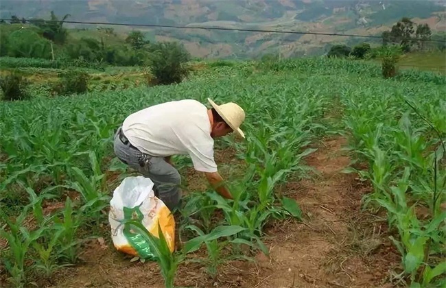 除草剂降解 除草剂 降解方式