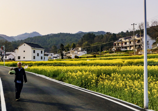 相山区：全力打造四好农村路打通乡村振兴毛细血管！