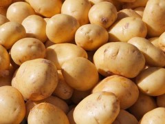 土豆真的能去痘印吗?