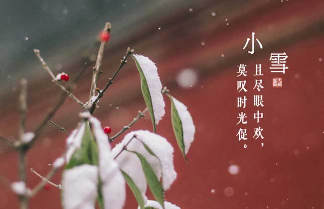 小雪节气是什么意思