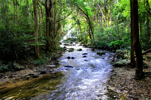 农村污水整治