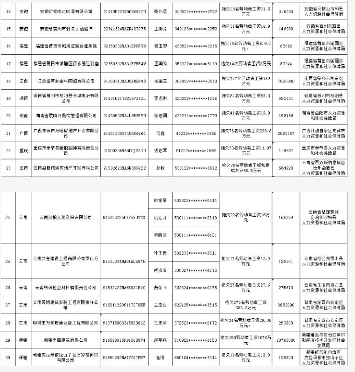 2019年第一批拖欠农民工工资黑名单出炉！共涉及30户