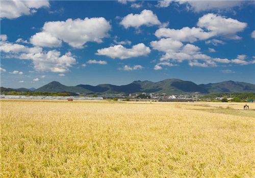 广西荔浦：发展旅游+工业+农业模式,旅游扶贫帮助农户改善生活