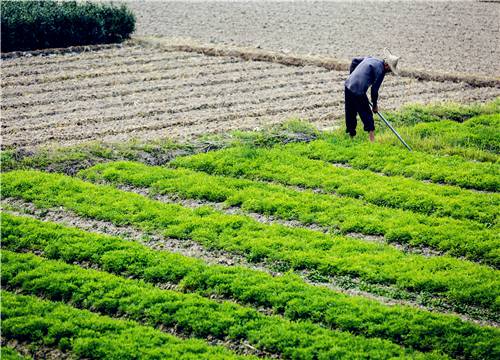 2019江苏养老金上调最新消息：月人均增幅5%左右,7月底前发放到位！