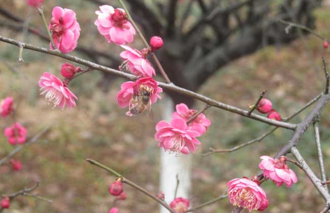 今年什么时候立春