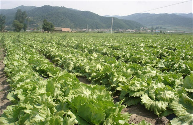 微生物农药 优缺点