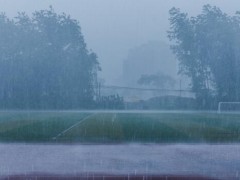 台风暴雨后,桃园、梨园、葡萄园、柑橘园如何恢复生产？权威指导意见