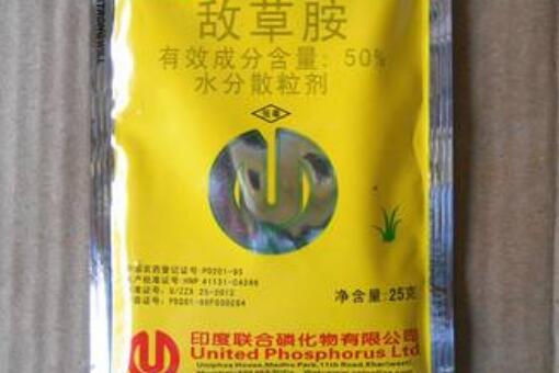 艾草与萘草的区别是什么？